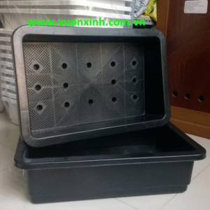 Khay nhựa trồng rau Đen BL_65.42.16