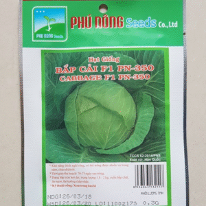Bắp cải F1 PN-350