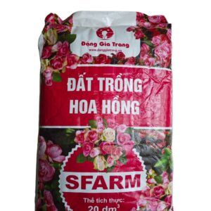 Đất trồng Hoa Hồng Sfarm